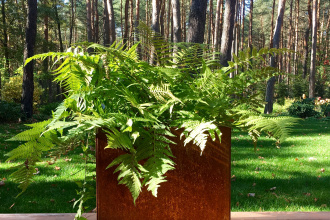 Robuste Pflanzgefäße Cortenstahl