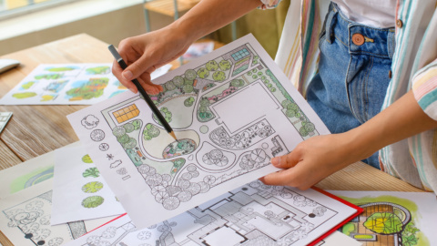 Adobe Stock 500353246